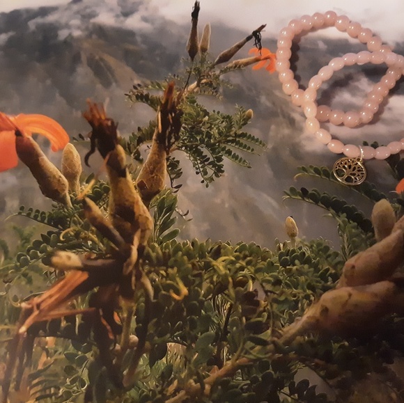 Braclets - Picture 7 of 8